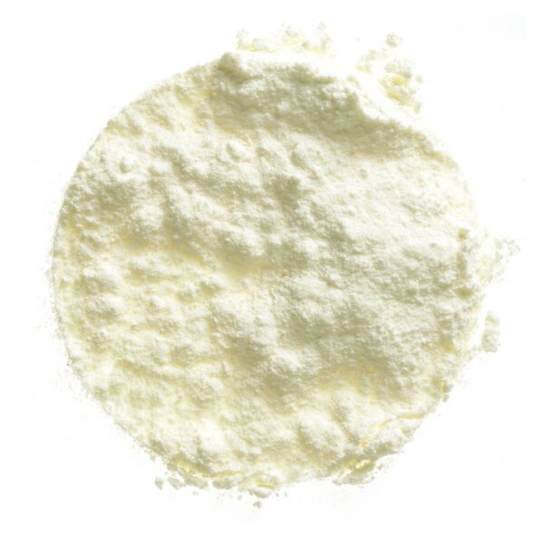 Buy Full Cream Milk Powder in Bulk