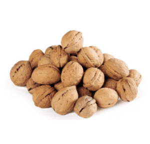 Walnuts in Shell Wholesale